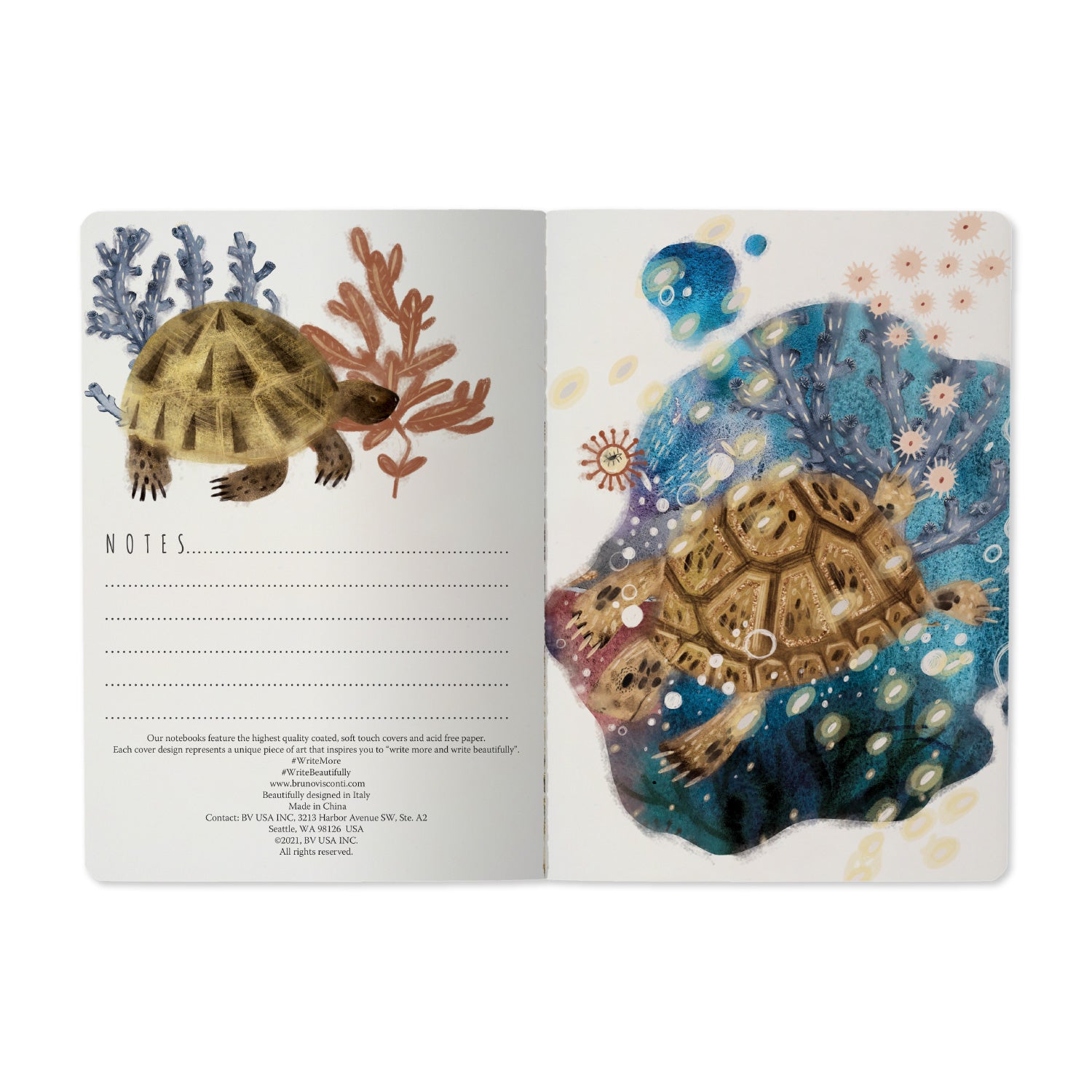 Coral Notebook