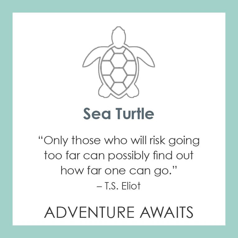 Sea Turtle Periwinkle Small